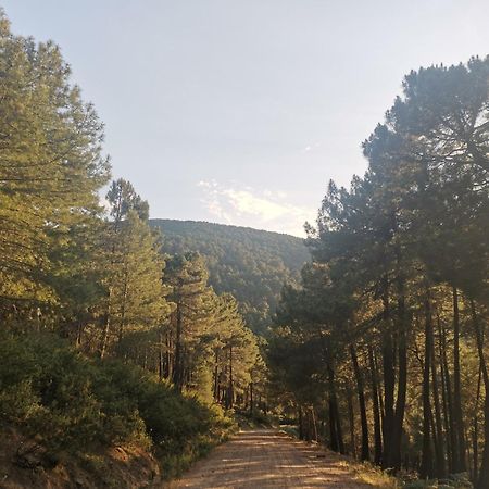 Bonita Casa En El Bosque - El Tiembloヴィラ エクステリア 写真