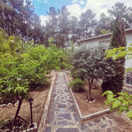 Bonita Casa En El Bosque - El Tiembloヴィラ エクステリア 写真