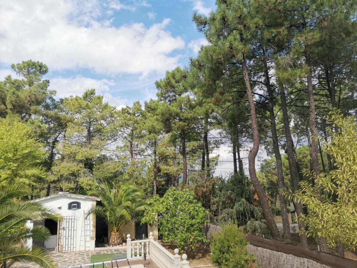 Bonita Casa En El Bosque - El Tiembloヴィラ エクステリア 写真