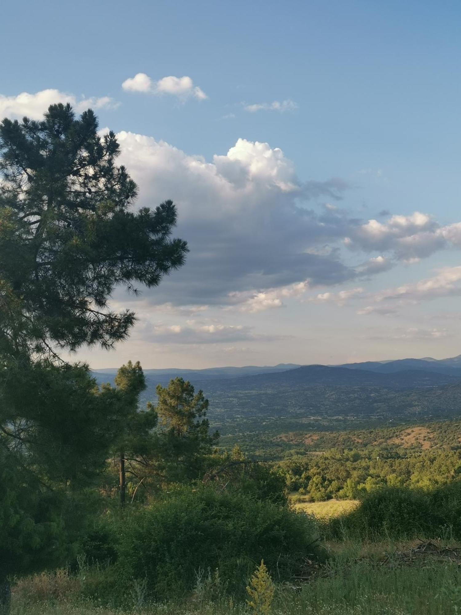 Bonita Casa En El Bosque - El Tiembloヴィラ エクステリア 写真