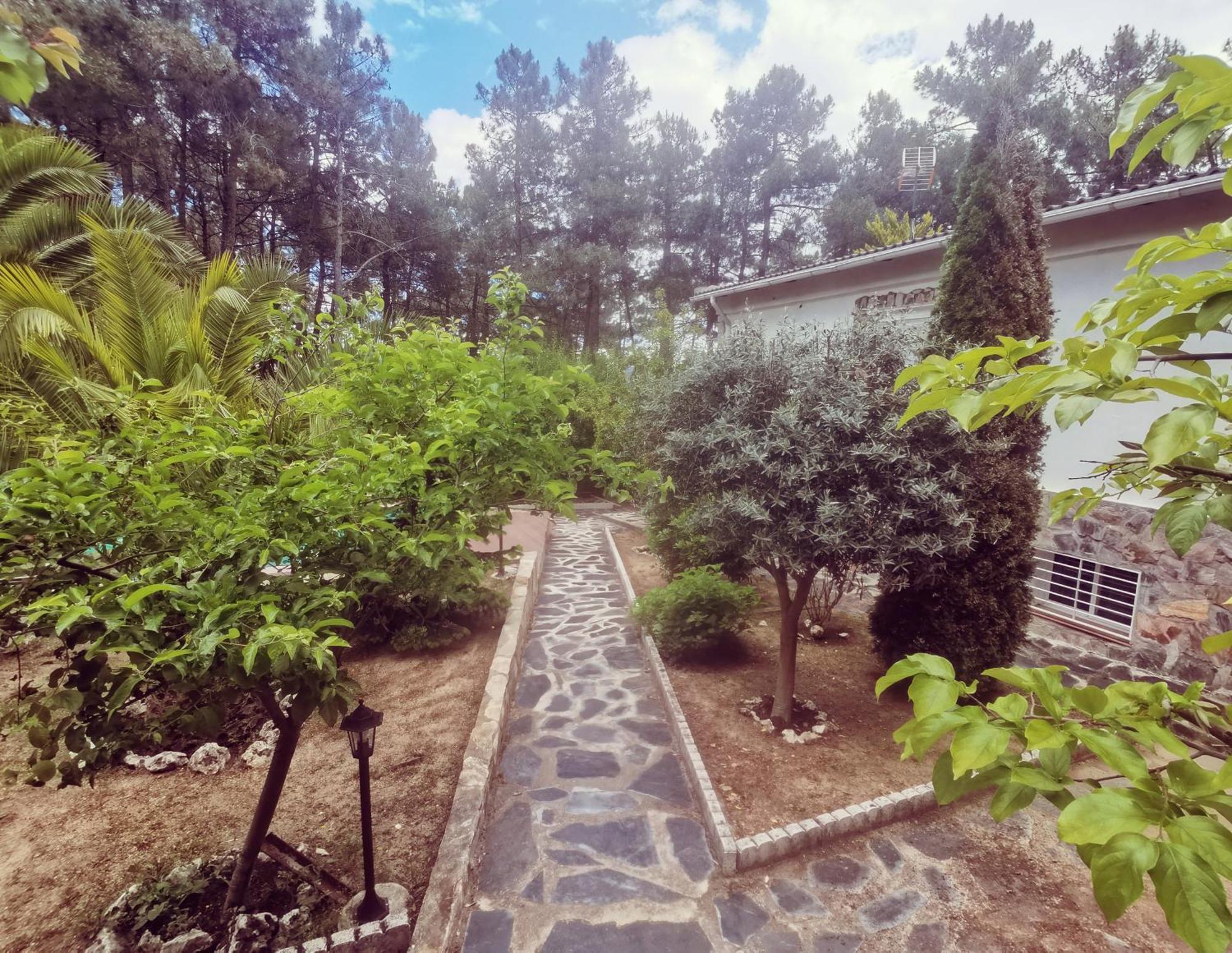 Bonita Casa En El Bosque - El Tiembloヴィラ エクステリア 写真